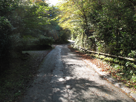 20171026hike (13)